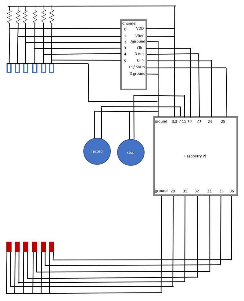 Wireframe