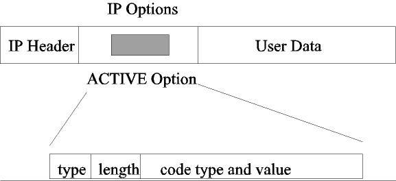 Active IP Packet Format