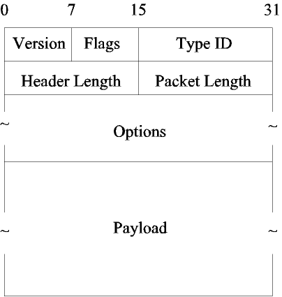 ANEP Packet Format