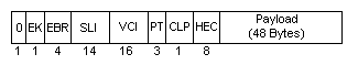 Figure of the fields and lengths in an 802.14 ATM cell