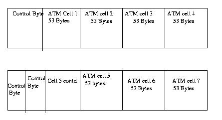 fig2.jpg