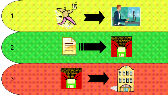 Figure 1: Electronic Voting Using DRE