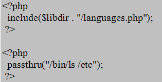 Example of Local Execution Vulnerability