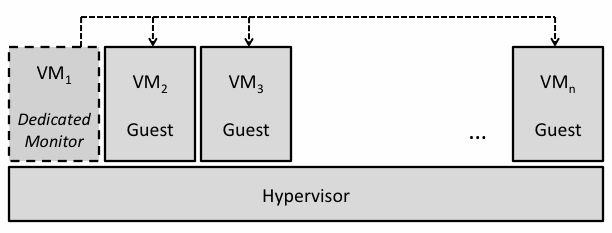 Figure 3. Dedicated External Monitor (VM1)