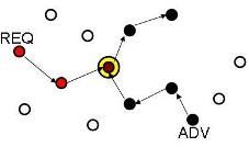 Quorum Scheme Routing