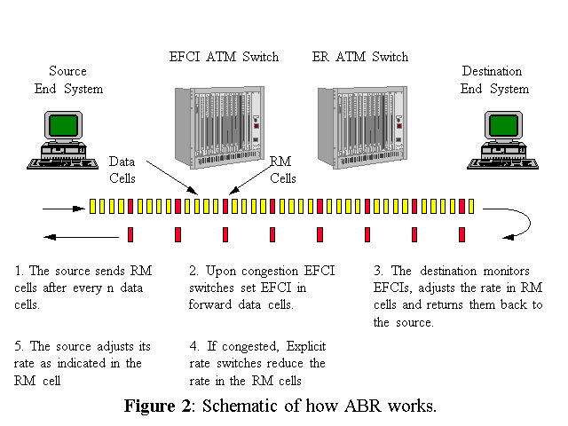 netwrkw2.gif